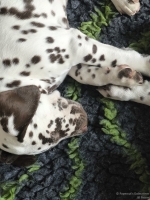 IMG_20250222_112017_web