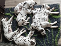 IMG_20250222_112026_web