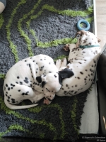 IMG_20250222_112042_web