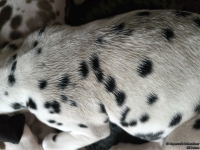 IMG_20250222_160132_web