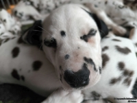 IMG_20250222_160139_web