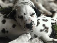 IMG_20250222_160157_web