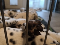 IMG_20250222_170637_web