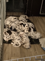 IMG_20250223_055322_web