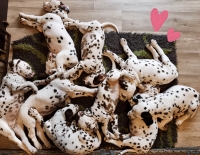 IMG_20250223_103018_web