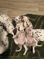 IMG_20250223_230842_web