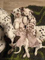 IMG_20250223_230852_web