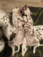 IMG_20250223_230858_web