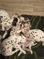 IMG_20250223_231016_web