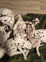 IMG_20250223_231027_web