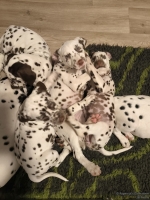 IMG_20250223_231031_web