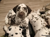 IMG_20250223_231047_web