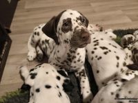 IMG_20250223_231053_web