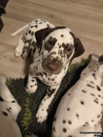 IMG_20250223_231104_web