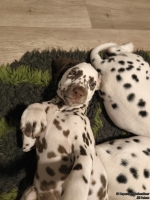 IMG_20250223_231118_web