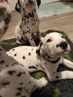 IMG_20250223_231146_web