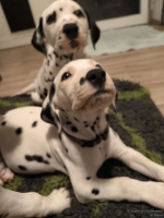 IMG_20250223_231148_web