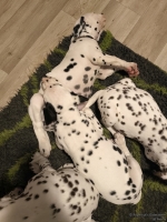 IMG_20250223_231219_web