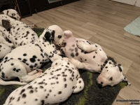 IMG_20250223_231228_web