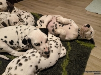 IMG_20250223_231245_web