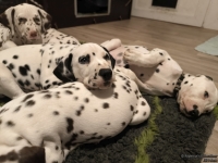 IMG_20250223_231249_web