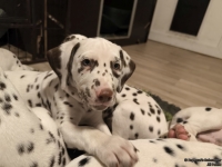 IMG_20250223_231258_web