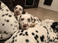 IMG_20250223_231300_web