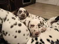 IMG_20250223_231302_web