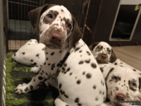 IMG_20250223_231304_web