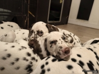 IMG_20250223_231311_web