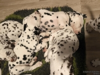 IMG_20250223_231336_web