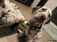 IMG_20250223_231348_web