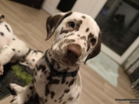 IMG_20250223_231349_web