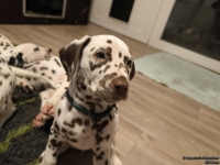 IMG_20250223_231355_web