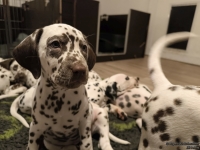 IMG_20250223_231401_web