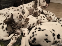 IMG_20250223_231449_web