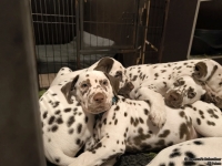 IMG_20250223_231454_web