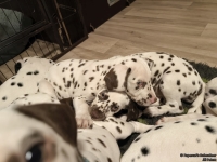 IMG_20250223_231458_web