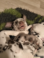 IMG_20250223_231657_web