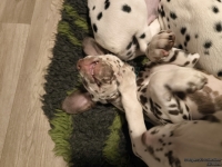 IMG_20250223_231704_web