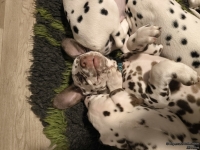 IMG_20250223_231707_web