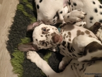 IMG_20250223_231711_web