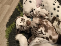 IMG_20250223_231713_web