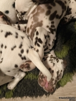 IMG_20250223_231728_web