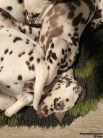 IMG_20250223_231730_web