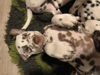 IMG_20250223_231736_web