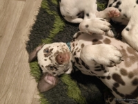 IMG_20250223_231743_web