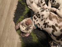 IMG_20250223_231747_web