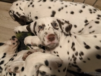 IMG_20250223_231759_web