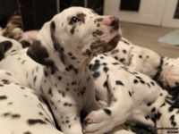 IMG_20250223_231812_1_web